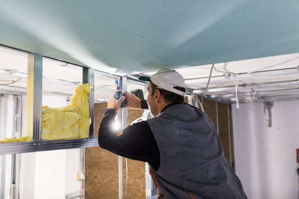 Best Insulation Installation Services in Greenbriar, FL